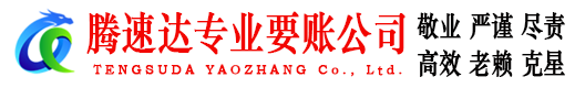 大观腾速达清债公司